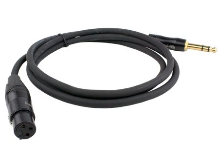 Blastking 25ft XLR Female to Balanced 1 4″ Cable – CXLRFQ Online Sale