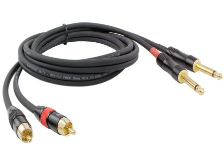 Blastking 10  Dual RCA to Dual 1 4″ Cable – C2R2Q Hot on Sale