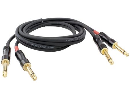 Blastking 6  Dual 1 4  to 1 4  Cable Sale