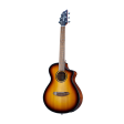 Breedlove Discovery S CE Red cedar-African Mahogany Companion Acoustic-Electric Guitar Edge Burst Fashion