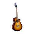 Breedlove Discovery S CE Red cedar-African Mahogany Companion Acoustic-Electric Guitar Edge Burst Fashion