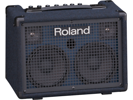 Roland KC-220 Keyboard Amplifier Hot on Sale