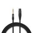 Warm Audio Premier Gold XLR Female to TRS Male Cable - 3  Fashion